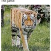 Dan