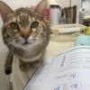 Vicky宜玲