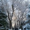 WANDERINGINBAYPARKALONE