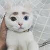 文
