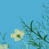 WenYu23