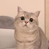 Wen_0517
