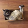 温