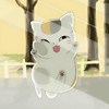 加勒比_鱼阿
