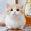 星期三我坐飞船来看你