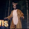 Whatdoesthefoxsayy