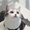 whereyougo