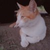 Windy_19970329