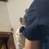 Ni
