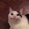 小罗