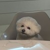 XUAN