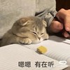 Xuan