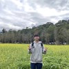 Yanbro