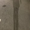 雅