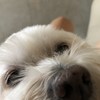 喜憨币