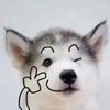北冰洋