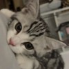 陈映伃