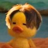 之(⑉◕◡◕⑉)
