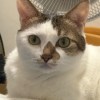 余尼莫