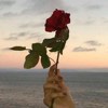 Yuj_T2986