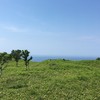 山风岚