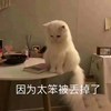 soraxuan006