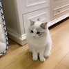 郁汐