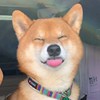 yyyyyllll
