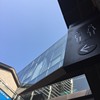 写舄儿
