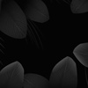 Dian尘碘