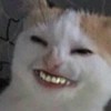 Zhuya