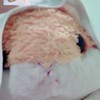 Ziyunnn