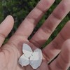 章鱼丸子酱
