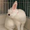 eli_6421604