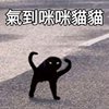 ___Roooou___