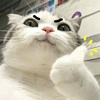 YR