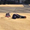 _红衣局长_