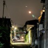 夜晚的精灵