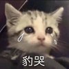 KAWAiiiiiiiii