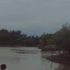 a0906886392