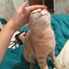 Mei7