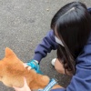 芃