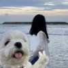 李
