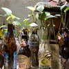 悲伤俱乐部