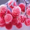 年轮中心