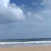 Sandy