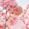 young_hall_f42