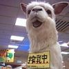 江宅胖