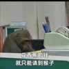 本地牛肉