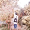 ada_shih